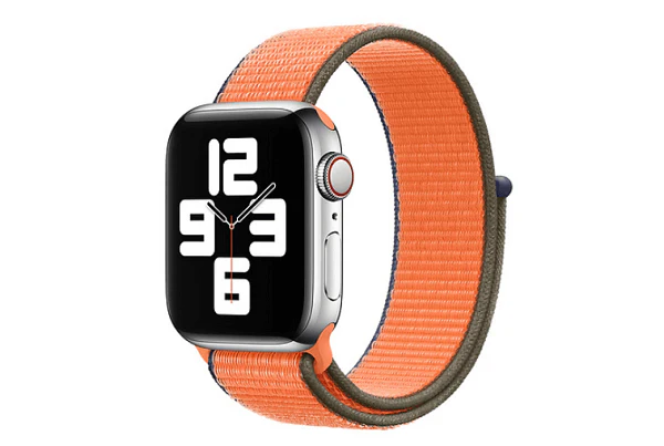 Nylon Apple Watch band