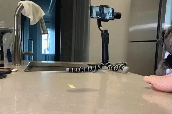 Apple Watch screen scratches Apple Watch drop test