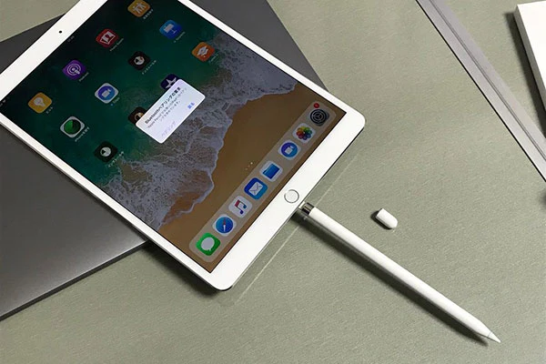 iPad Lightning port
