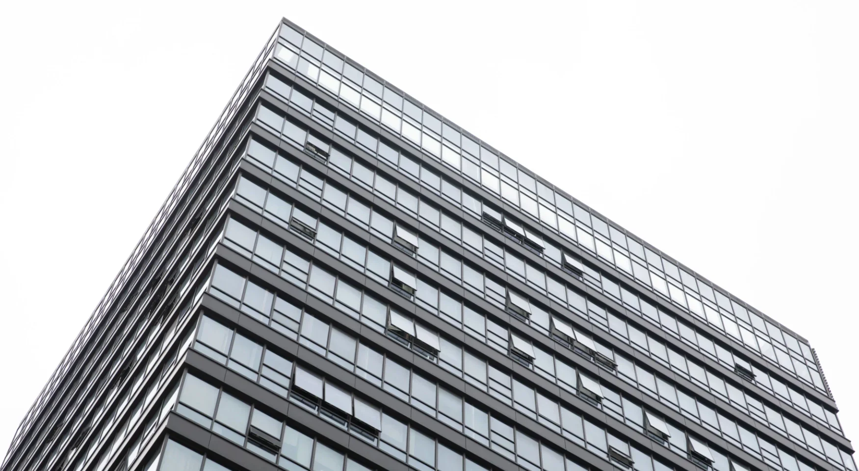 PITAKA Company Frontend