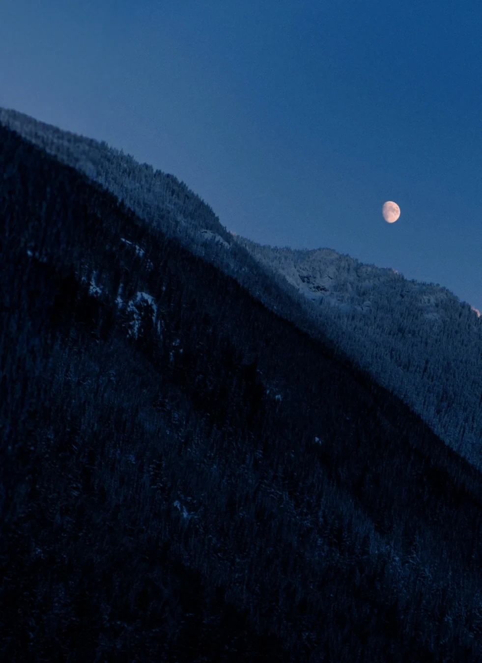 Moment · Over The Horizon