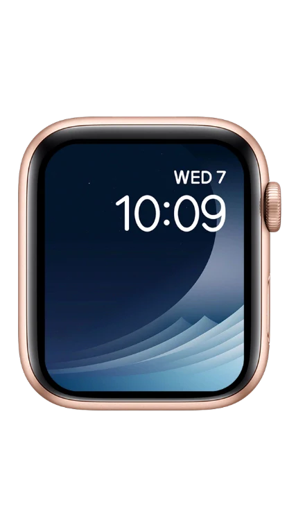 PITAKA Christmas 2023