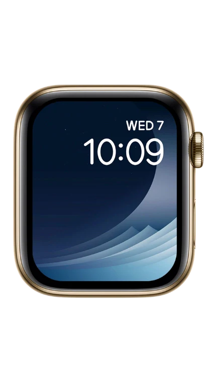 PITAKA Christmas 2023