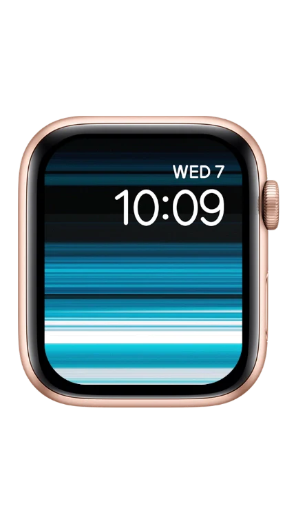 PITAKA Christmas 2023