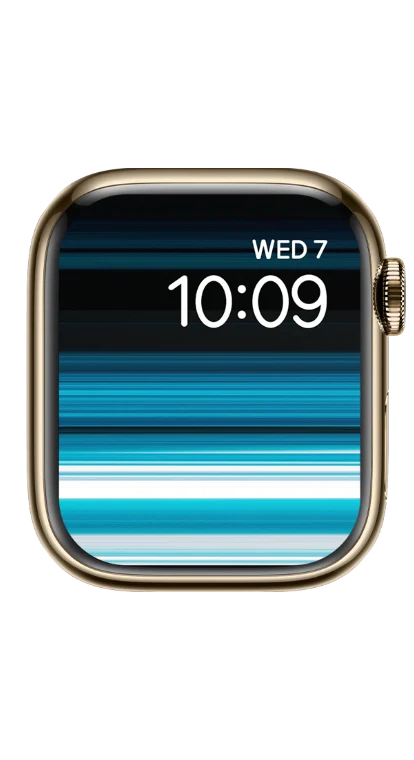 PITAKA Christmas 2023