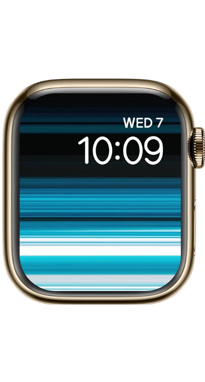 PITAKA Christmas 2023