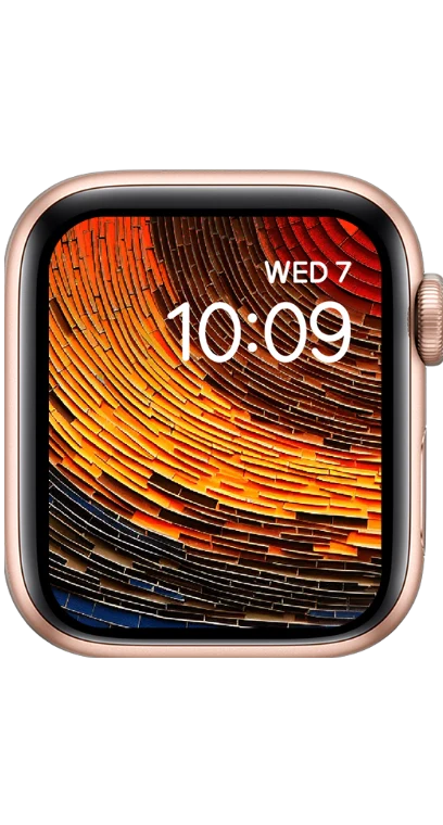 PITAKA Christmas 2023