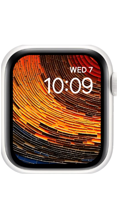 PITAKA Christmas 2023