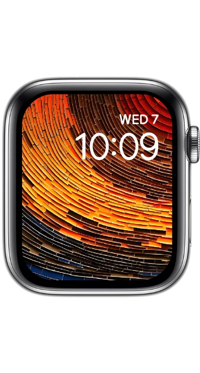 PITAKA Christmas 2023