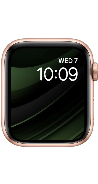 PITAKA Christmas 2023